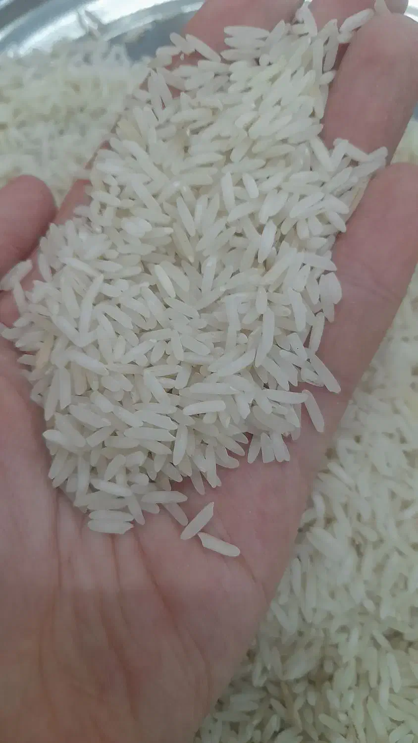 برنج هاشمی|خوردنی و آشامیدنی|رباطکریم, شترخوار|دیوار