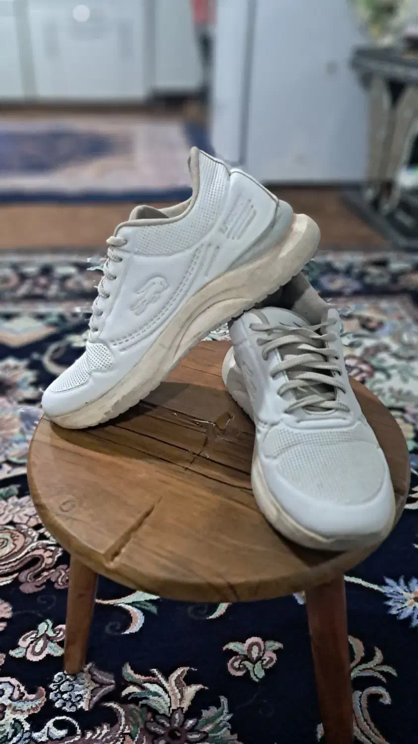 کتونی سفید|کیف، کفش، کمربند|املش, |دیوار