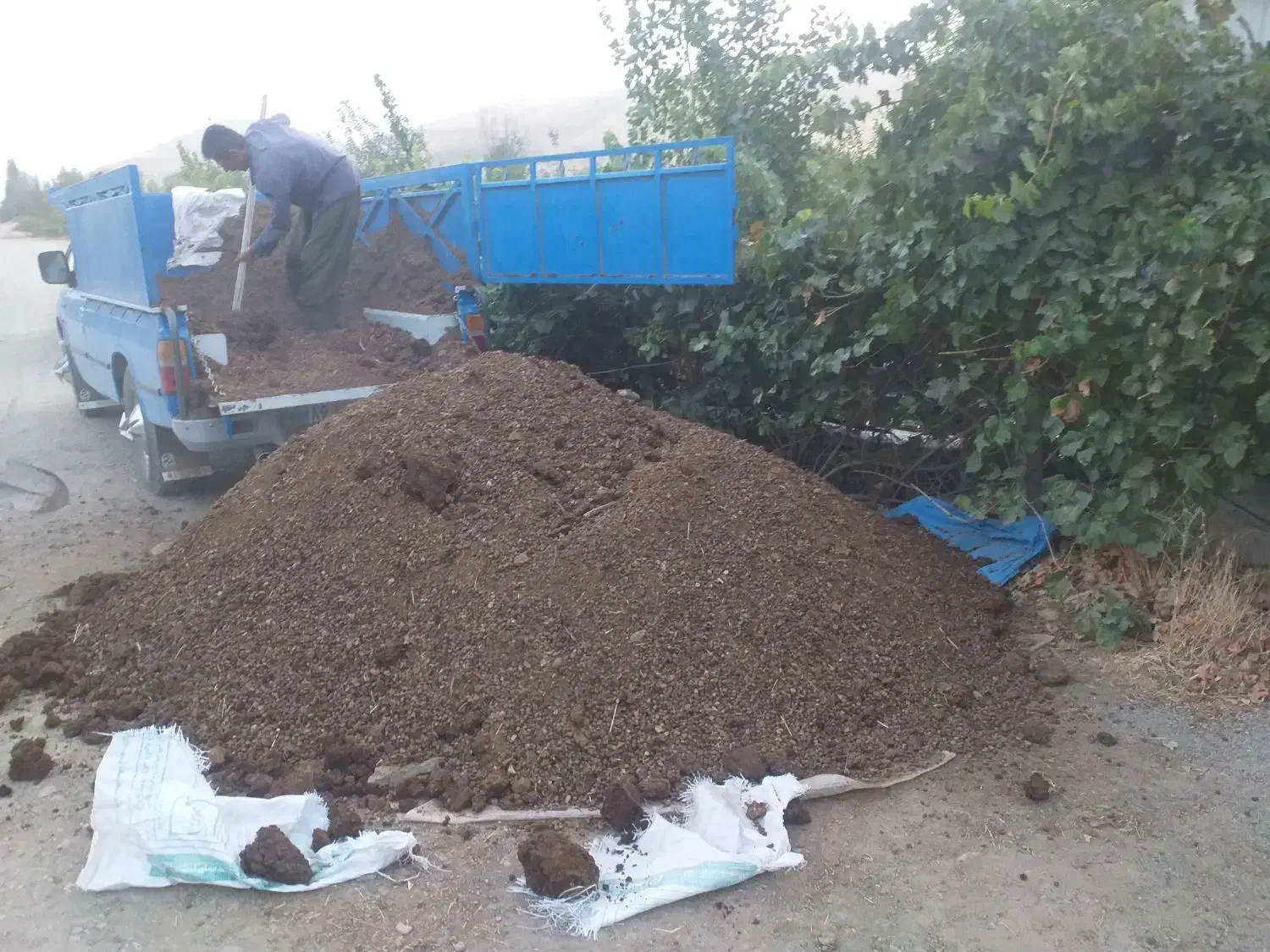 کود حیوانی پهن کوهنه|خدمات باغبانی و درختکاری|کامیاران, |دیوار