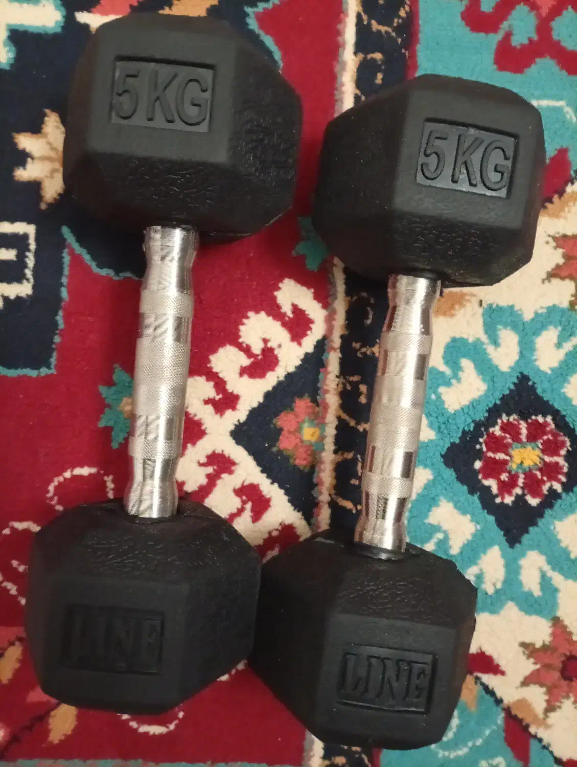 دمبل 5 کیلیویی|تجهیزات ورزشی|میانه, |دیوار