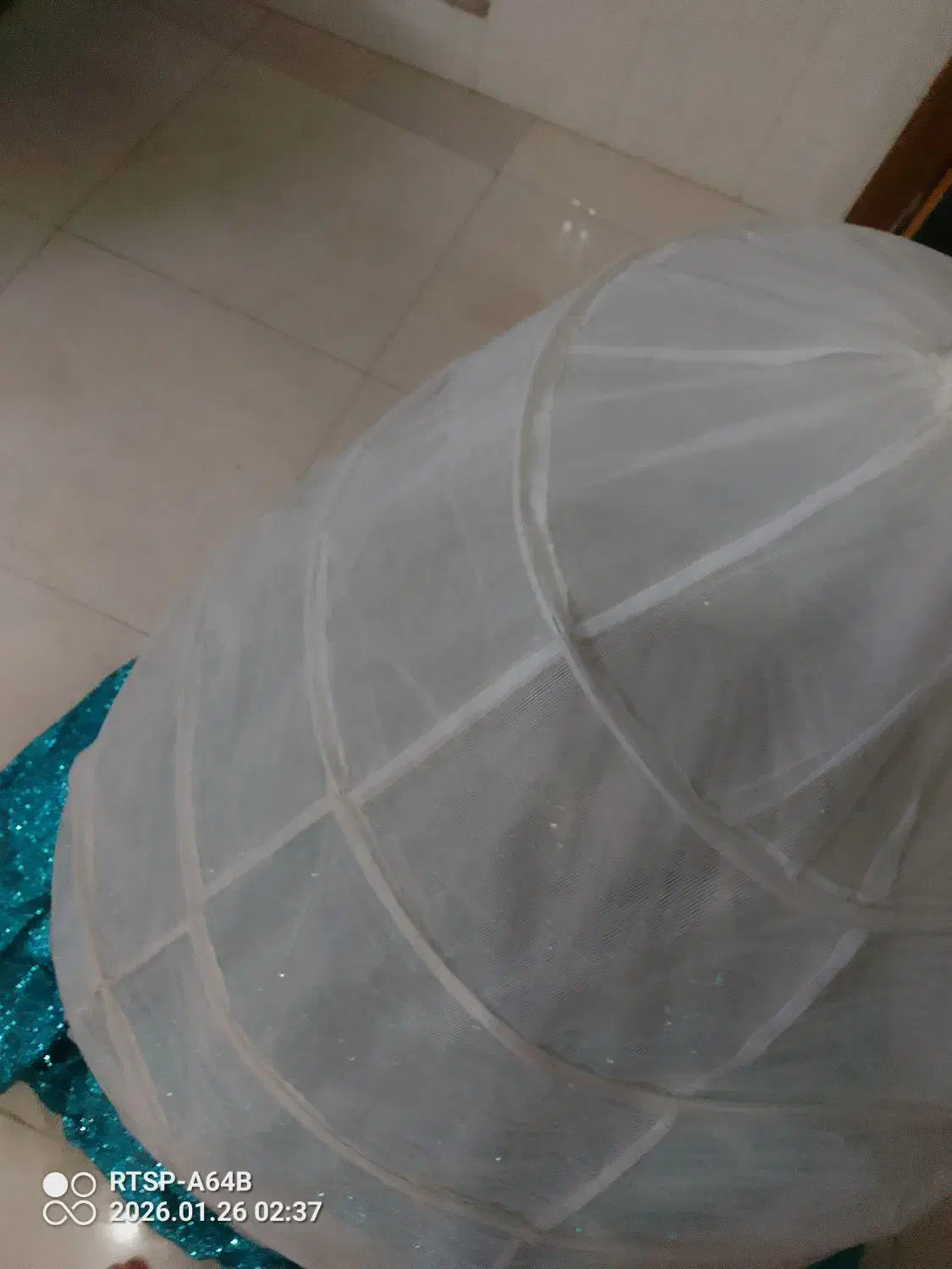 لباس مجلسی|لباس|بومهن, |دیوار