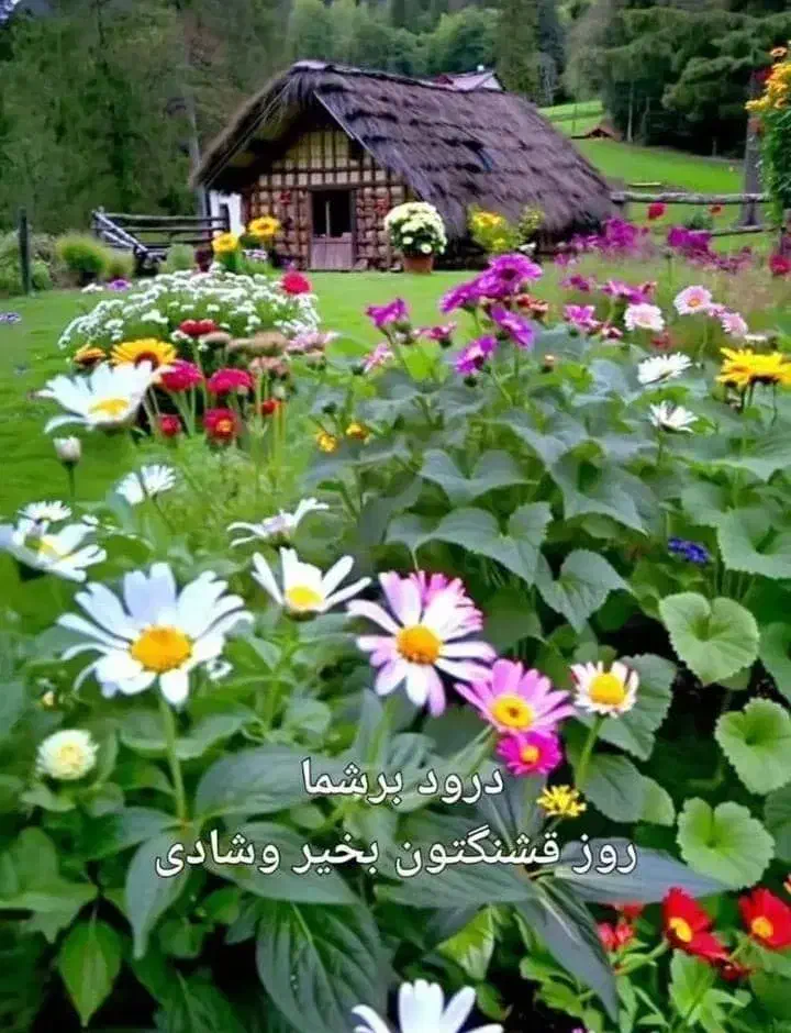 اجاره خانه به صورت دوبلکس می باشد وحیات هم دارد.|اجارهٔ خانه و ویلا|لواسان, |دیوار