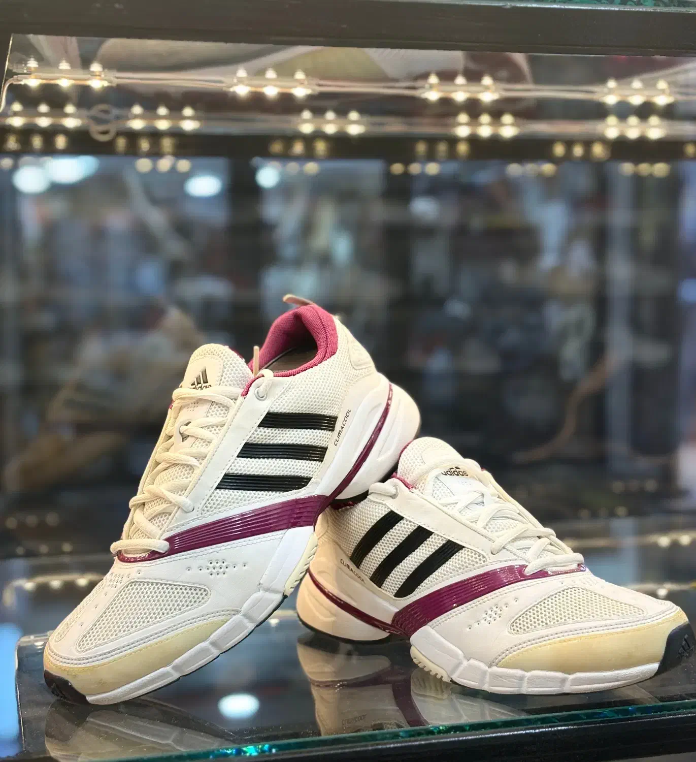 کتانی استوک|کیف، کفش، کمربند|سقز, |دیوار