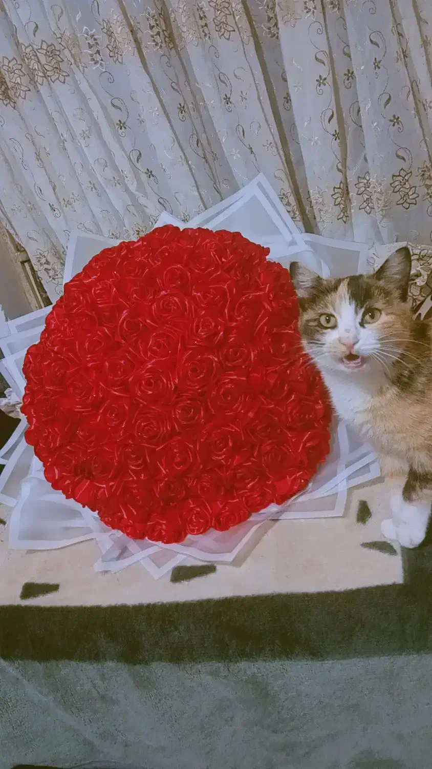 گل ربانی|گل مصنوعی|قوچان, |دیوار