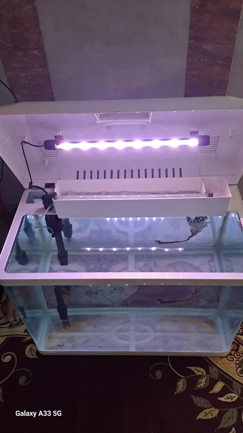 آکواریوم شرکتی برند دلسا اصلی، درحدنو|ماهی|بندرعباس, |دیوار