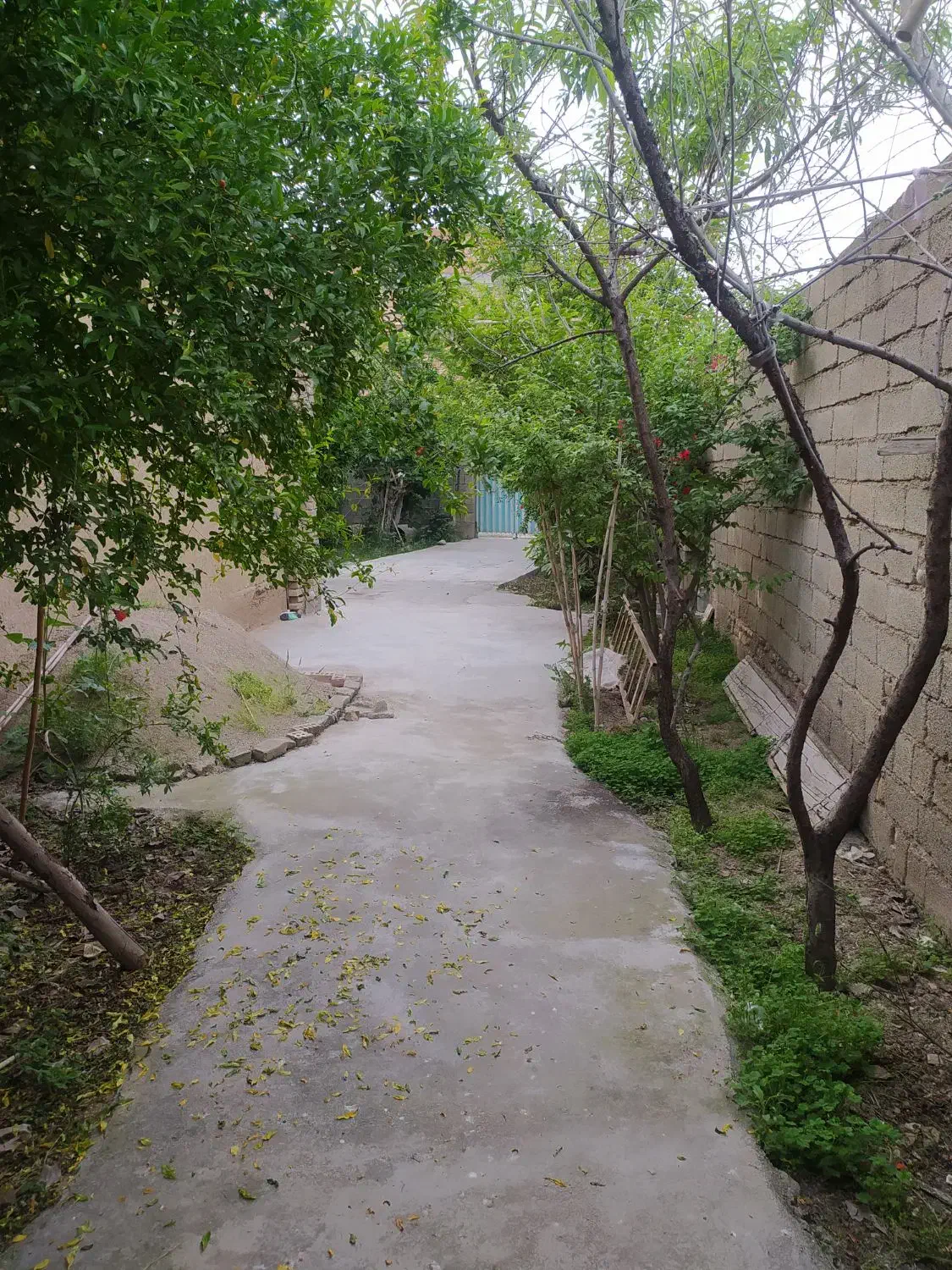 فروش زمین ۳۳۰ متری|فروش خانه و ویلا|گالیکش, |دیوار