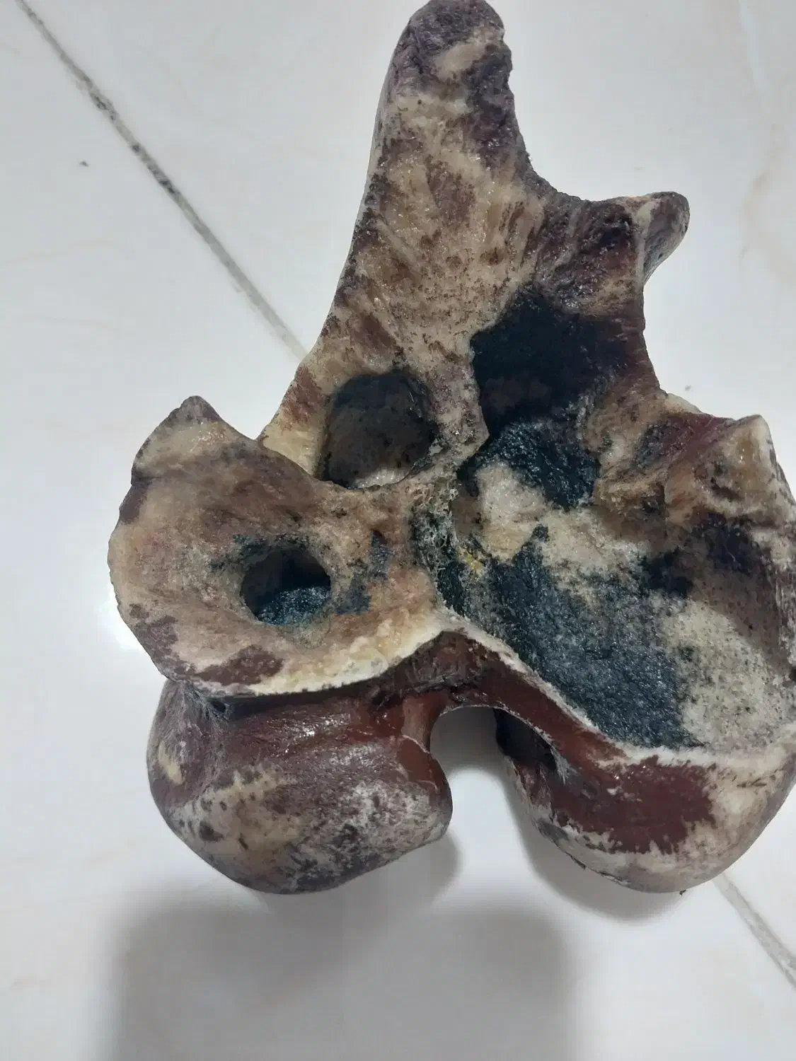 زیر سیگاری|صنایع دستی و سایر لوازم تزئینی|تهران, امیریه|دیوار