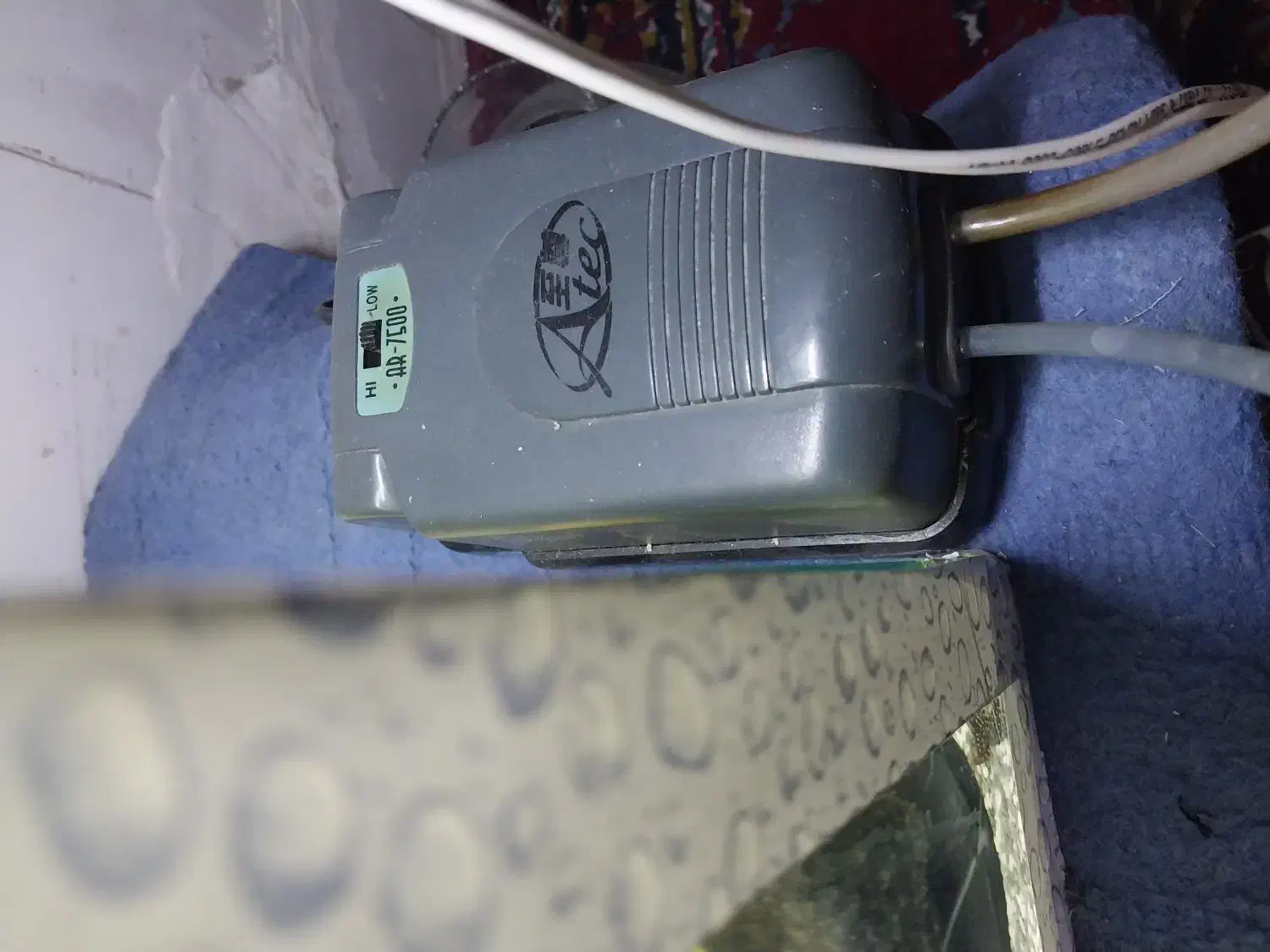 آکواریوم و کوپی|ماهی|قم, شاه ابراهیم|دیوار