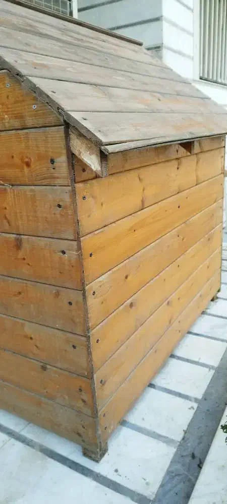 لونه چوبی سگ بزرگ حیوان خانگی|لوازم جانبی حیوانات|جویبار, |دیوار