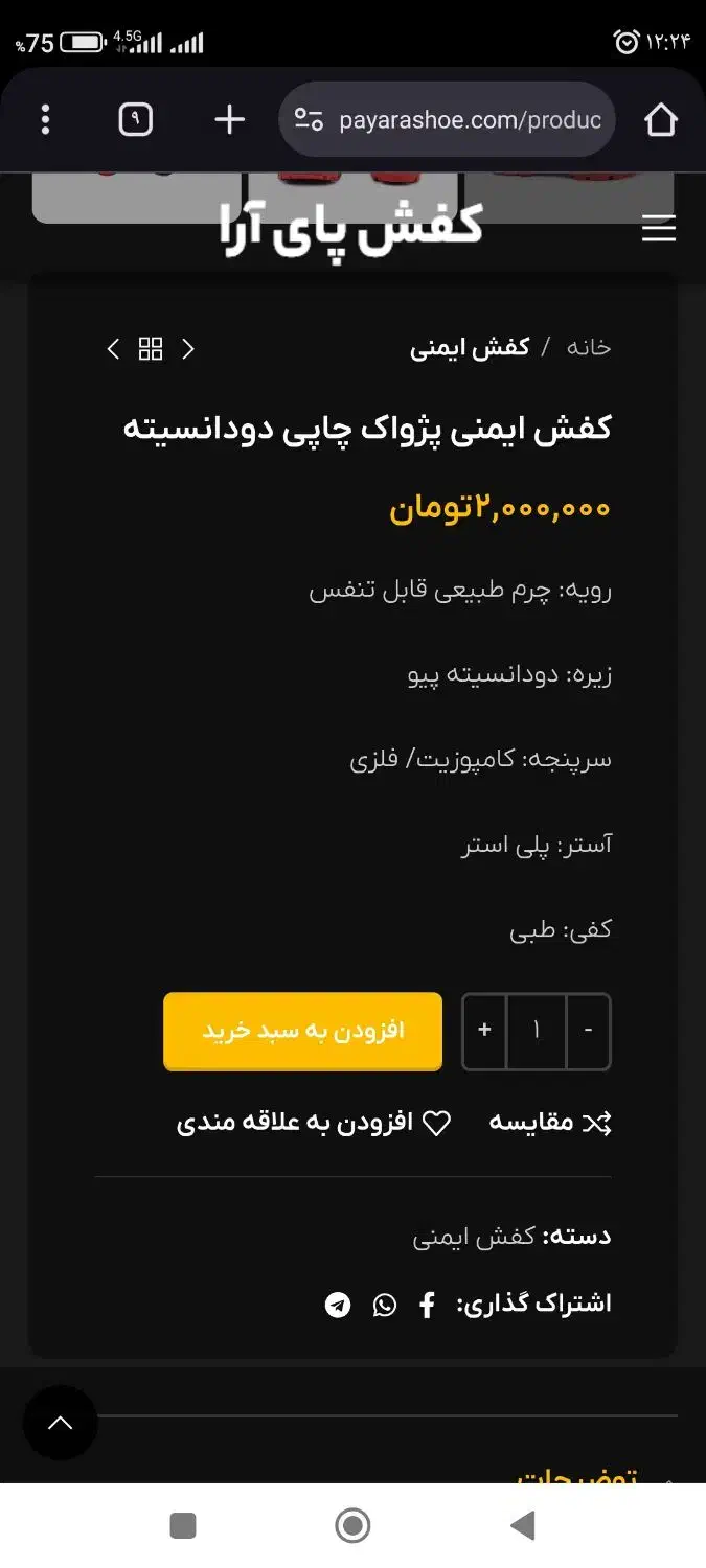 کفش ایمنی طبی payara|کیف، کفش، کمربند|شهرضا, |دیوار