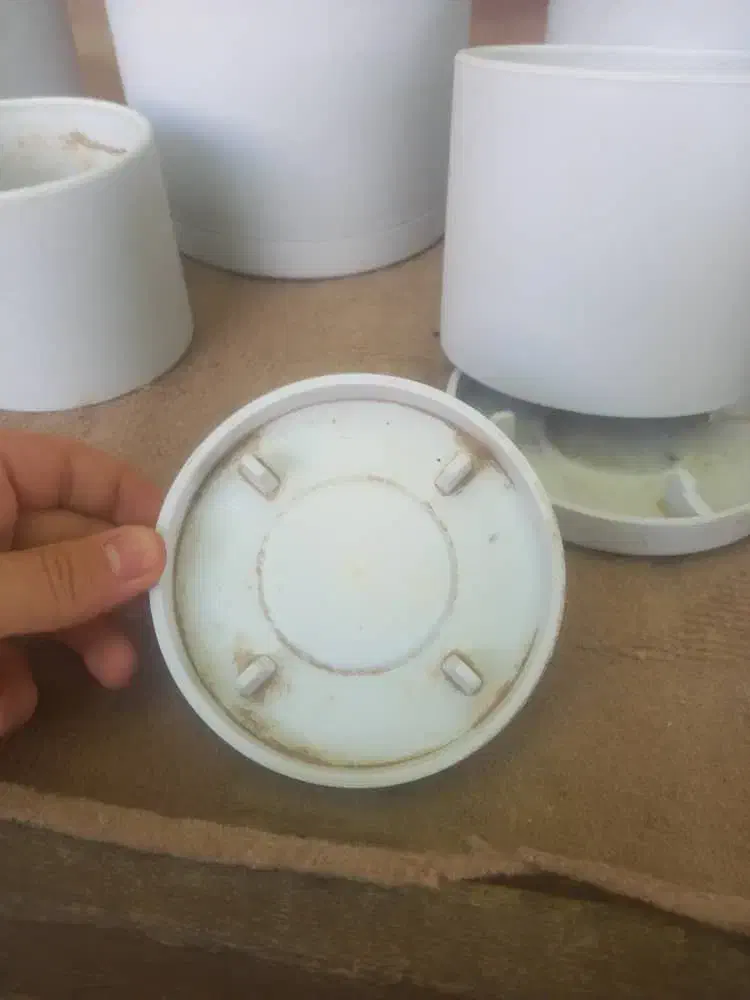 گلدون سرامیکی|گل و گیاه طبیعی|شیراز, جوادیه|دیوار