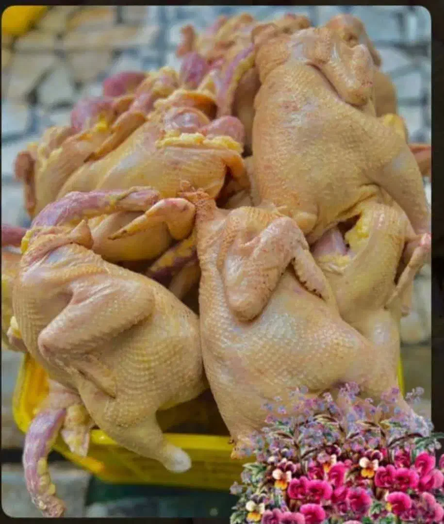 پناهنده|خوردنی و آشامیدنی|سوق, |دیوار