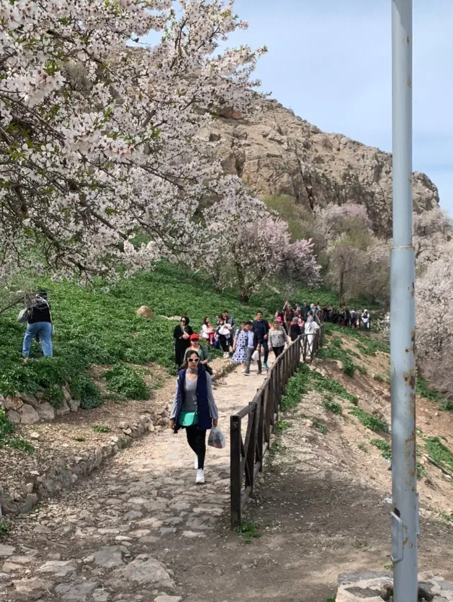 ویژه کریسمس ۷ دی تور گروهی وان ترکیه|تور و چارتر|تهران, فلسطین (میدان انقلاب)|دیوار