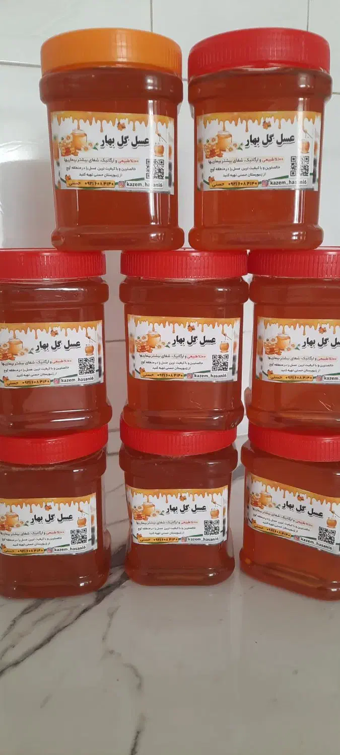 عسل گل بهار|خوردنی و آشامیدنی|آوج, |دیوار