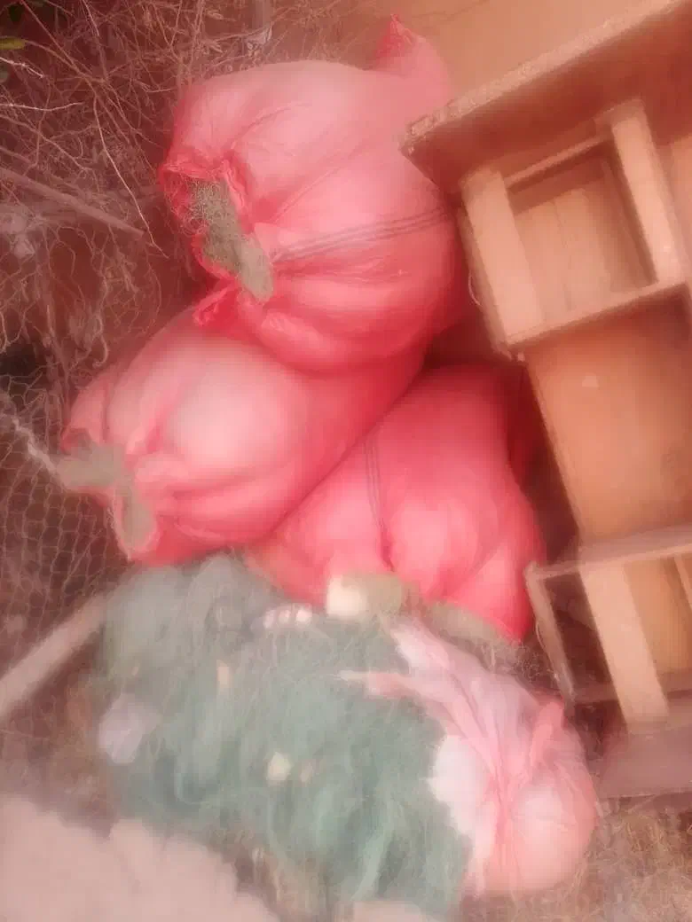 فروش تورشوریده وقبادی ماهیگیری|ماهیگیری|بندر کنگان, |دیوار