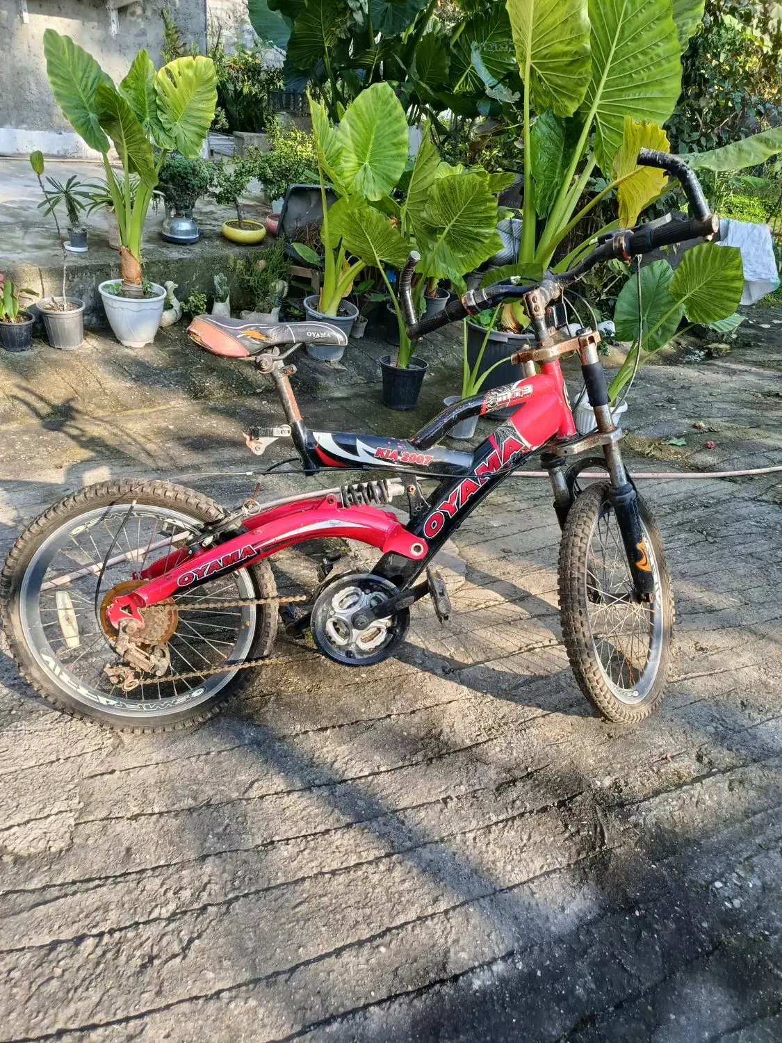 دوچرخه 24|دوچرخه، اسکیت، اسکوتر|سنگر, |دیوار