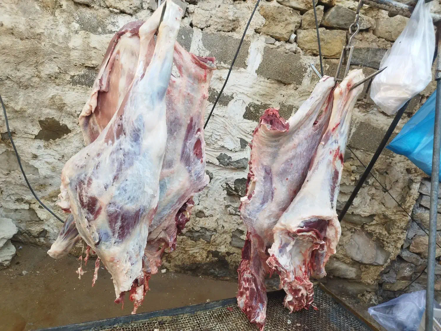 گوشت مراسمات با تخفیف ویژه فروشی|خدمات پذیرایی، مراسم|مسجد سلیمان, |دیوار