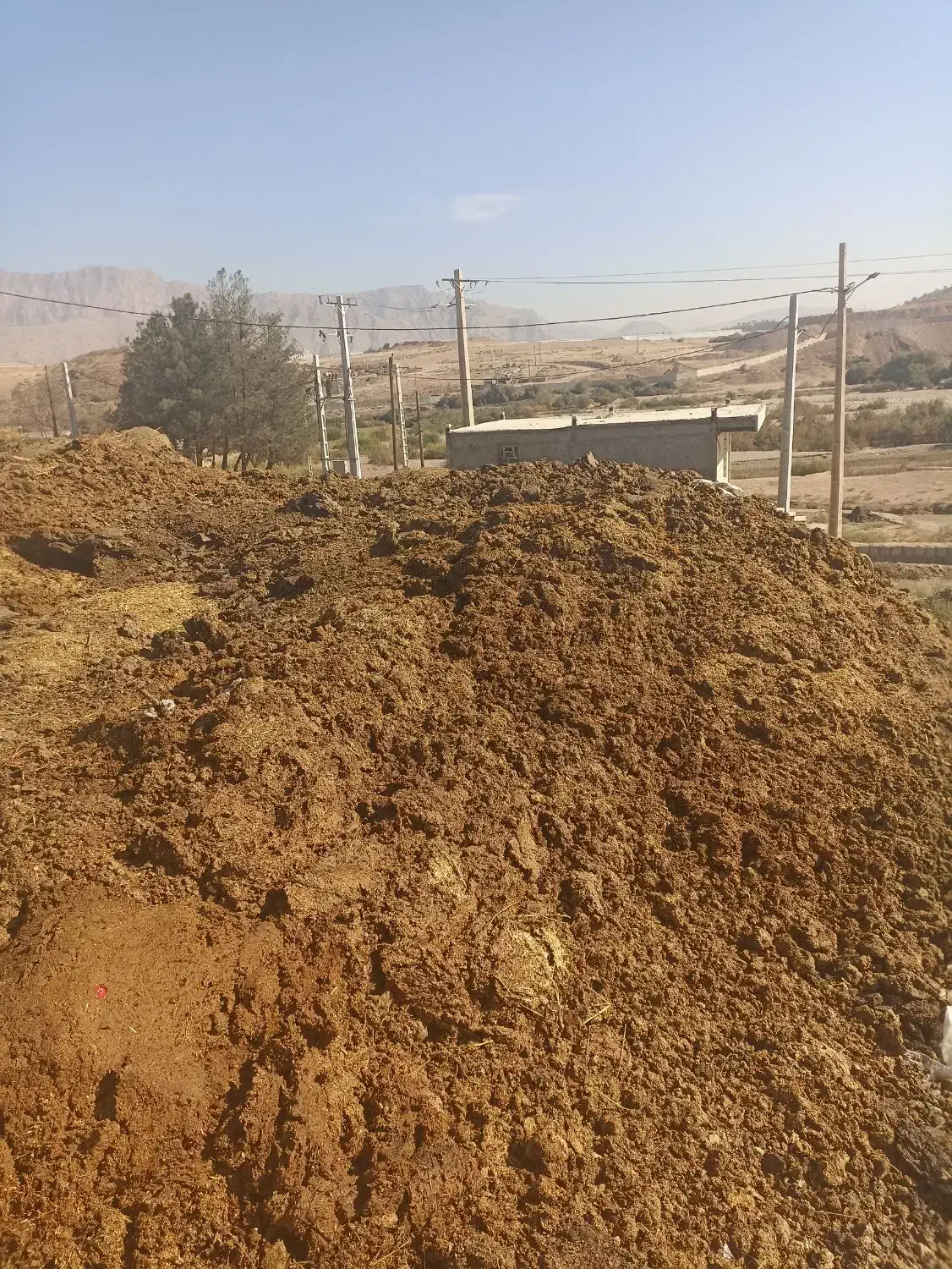 کودحیوانی مخلوط|خدمات باغبانی و درختکاری|خرم‌آباد, |دیوار