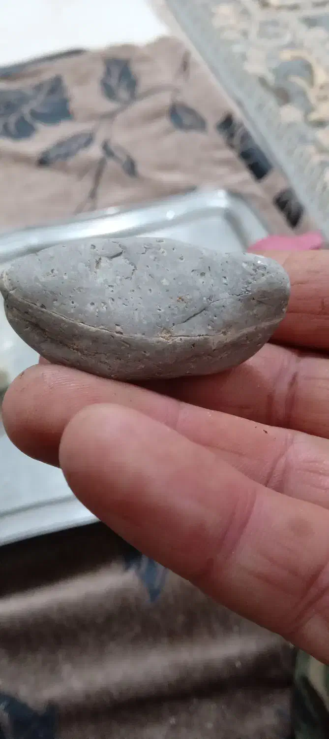 سنک راف طبیعت.وقدرت خداوند|کلکسیون و سرگرمی|رشت, پسیخان|دیوار