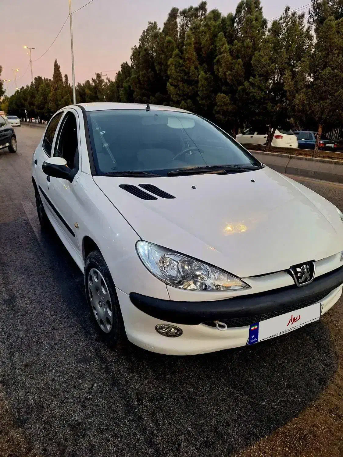 ۲۰۶تیپ ۵ فقط نقدی|خودرو سواری و وانت|سیرجان, |دیوار