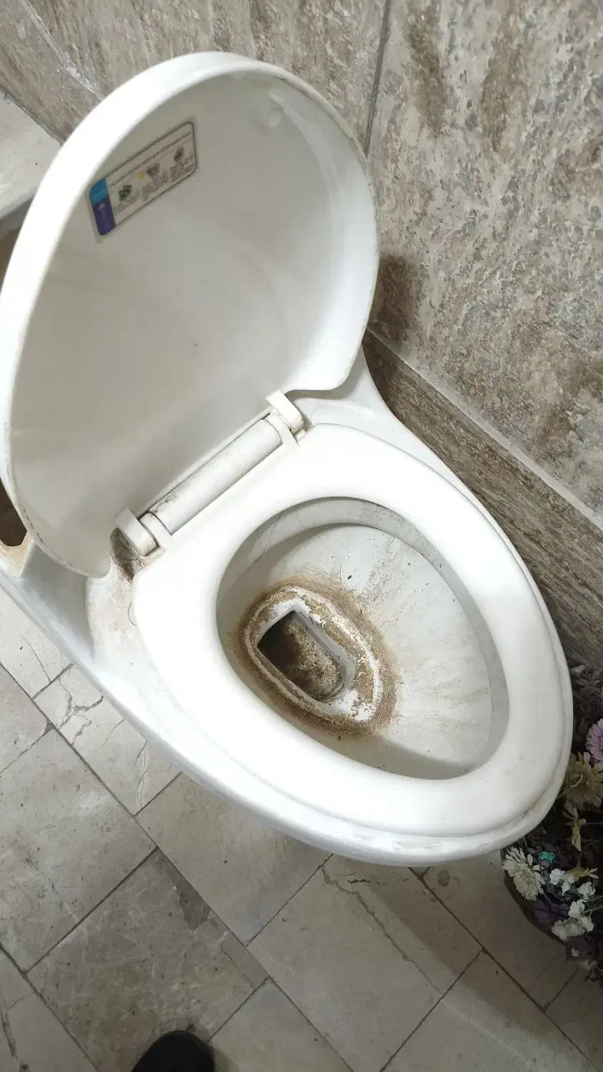 دستشویی توالت فرنگی قدیمی|لوازم سرویس بهداشتی|تهران, آهنگ|دیوار