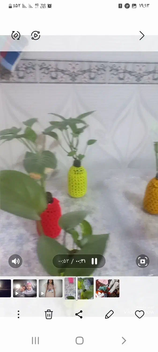 شیشه برای گل طبیعی|صنایع دستی و سایر لوازم تزئینی|شیراز, شهدای شهرک سعدی|دیوار