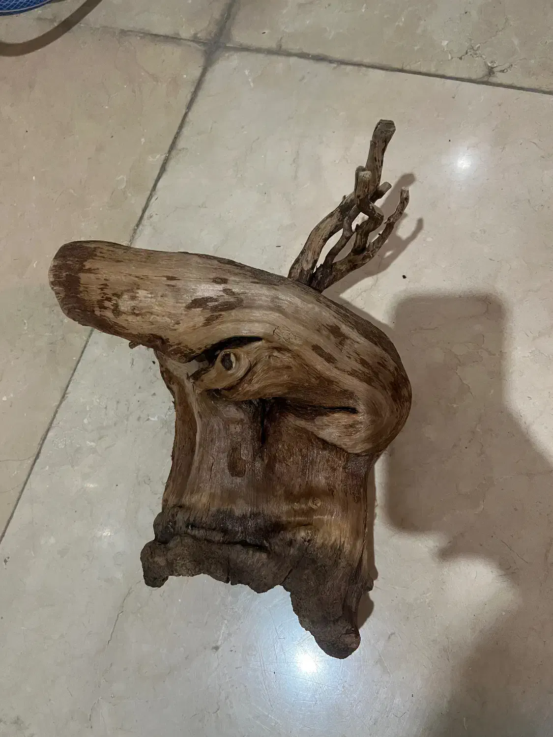 چوب ابنوس و بایو فیلتر|ماهی|کرج, عظیمیه|دیوار