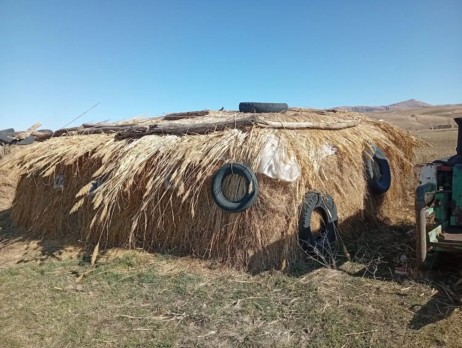 گاوگوسفند|لوازم جانبی حیوانات|سیلوانه, |دیوار