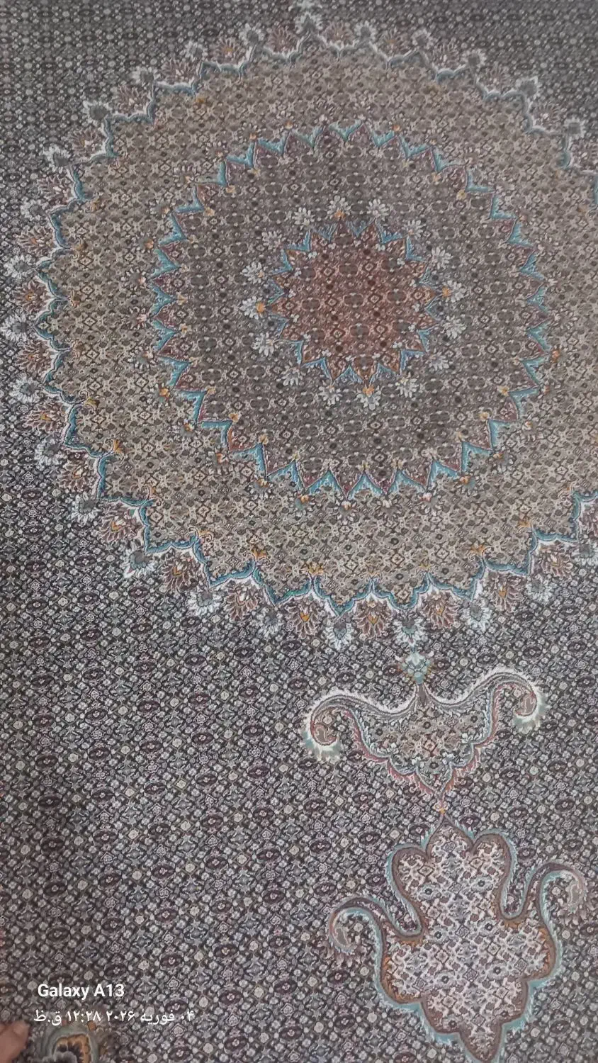 فرش ریز ماهی|فرش|کبودرآهنگ, |دیوار