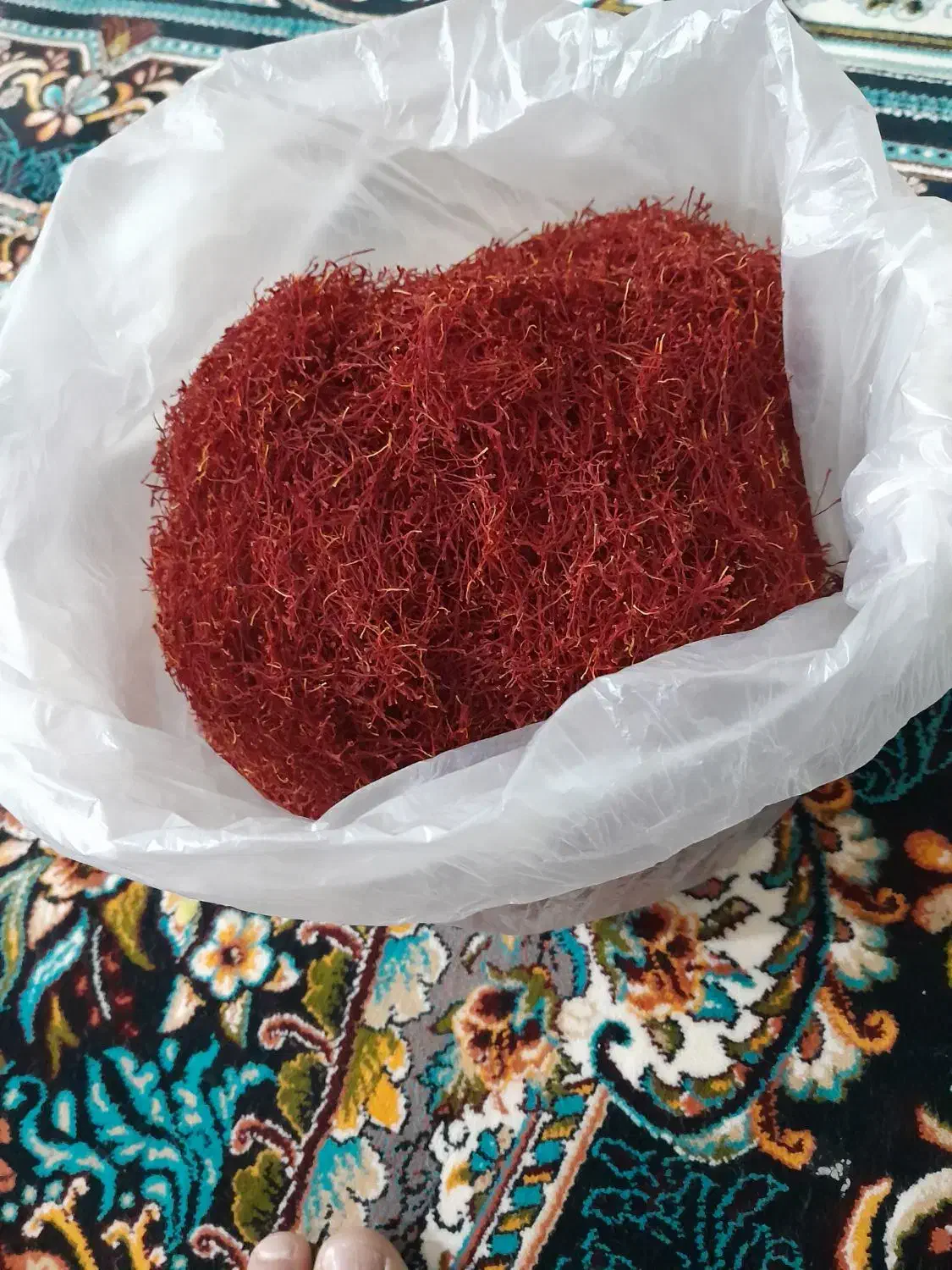 زعفران|حراج|تایباد, |دیوار