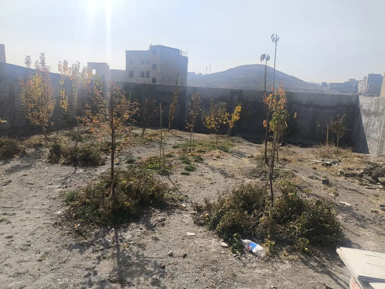 باغچه ۴۳۸ متر سند تک برگ|فروش زمین و ملک کلنگی|بومهن, |دیوار