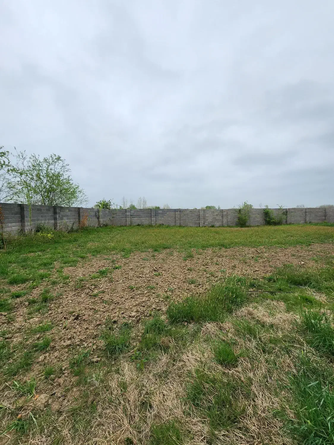 ۱۰۰۰ هزار متر زمین مسکونی|فروش زمین و ملک کلنگی|ماسال, |دیوار