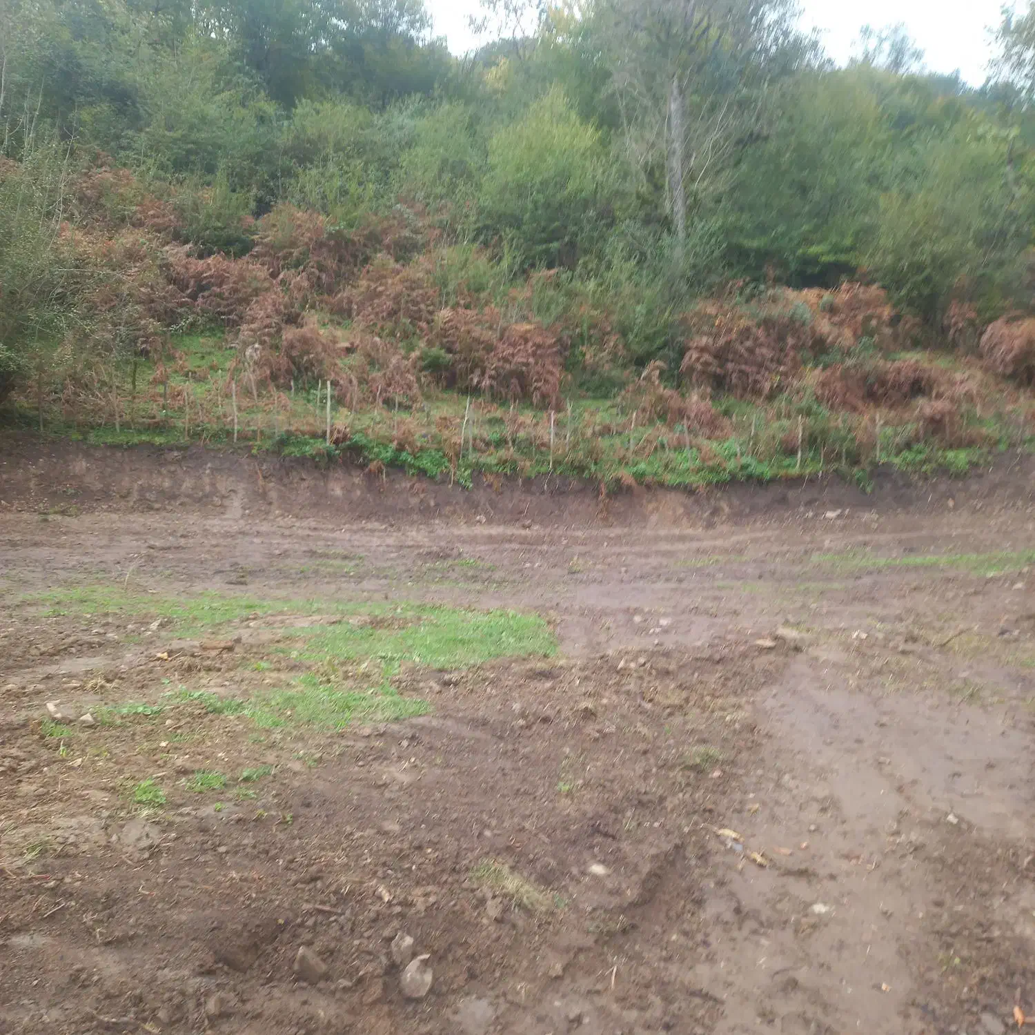 زمین جهت ساخت ویلادربهترین منطقه|فروش زمین و ملک کلنگی|پل سفید, |دیوار