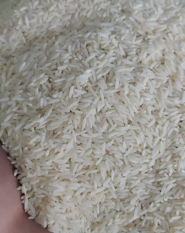 برنج حصارمشپا و مَمان میانه و علی کاظمی طارم|خوردنی و آشامیدنی|زنجان, |دیوار