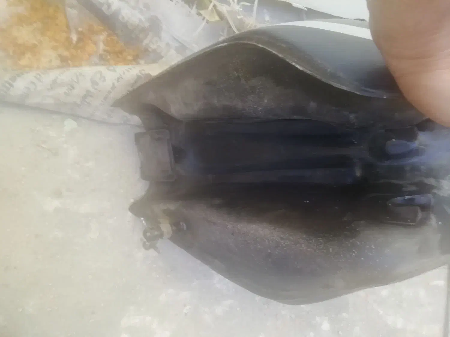 باک موتور|قطعات یدکی و لوازم جانبی|آبادان, |دیوار