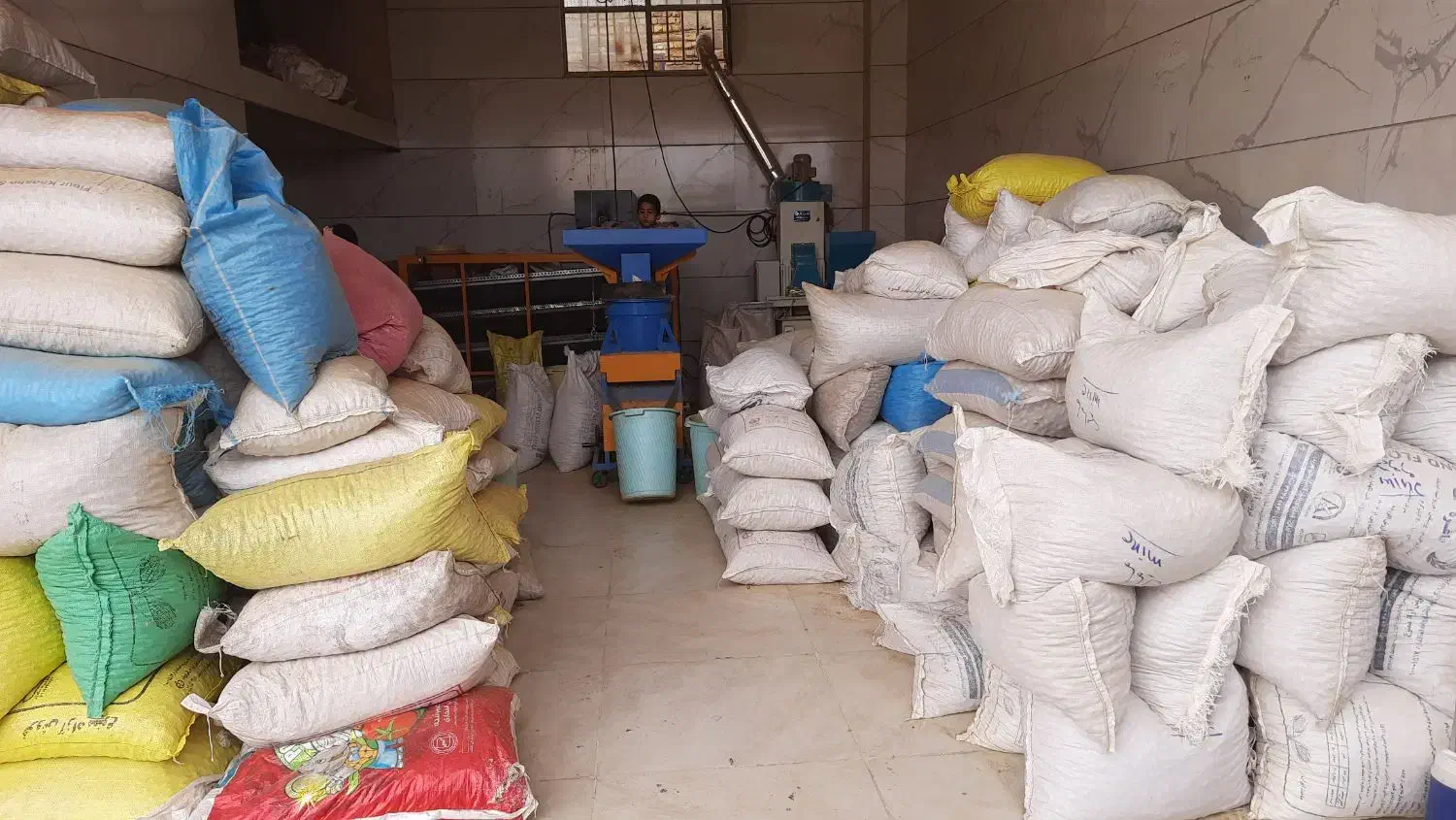 خرید و فروش بادام نقدی|خدمات باغبانی و درختکاری|بن, |دیوار