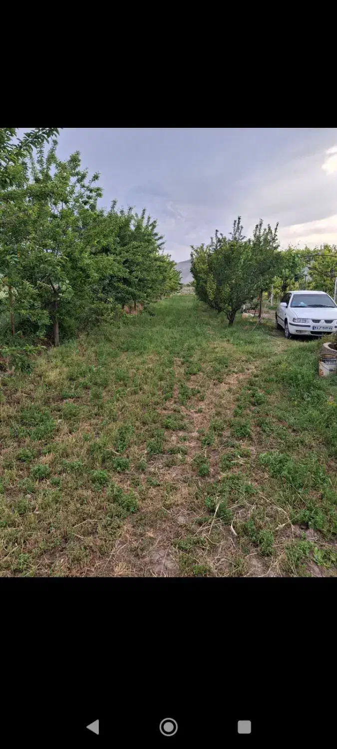 باغ برجاده|فروش دفتر صنعتی، کشاورزی، تجاری|خوی, |دیوار