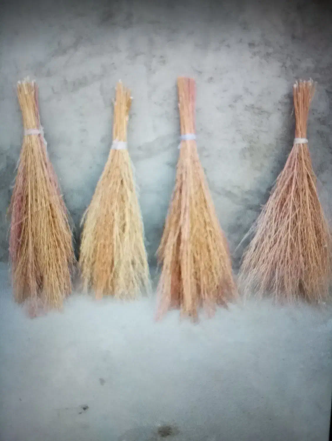 جارو دسته شدە دستە های بزرگ|جاروبرقی، جارو شارژی، بخارشو|نهاوند, |دیوار