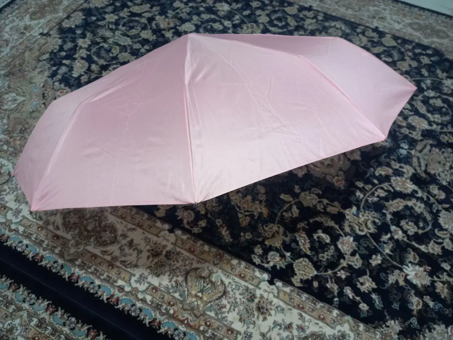 چتر|کوهنوردی و کمپینگ|تهران, نیلوفر|دیوار