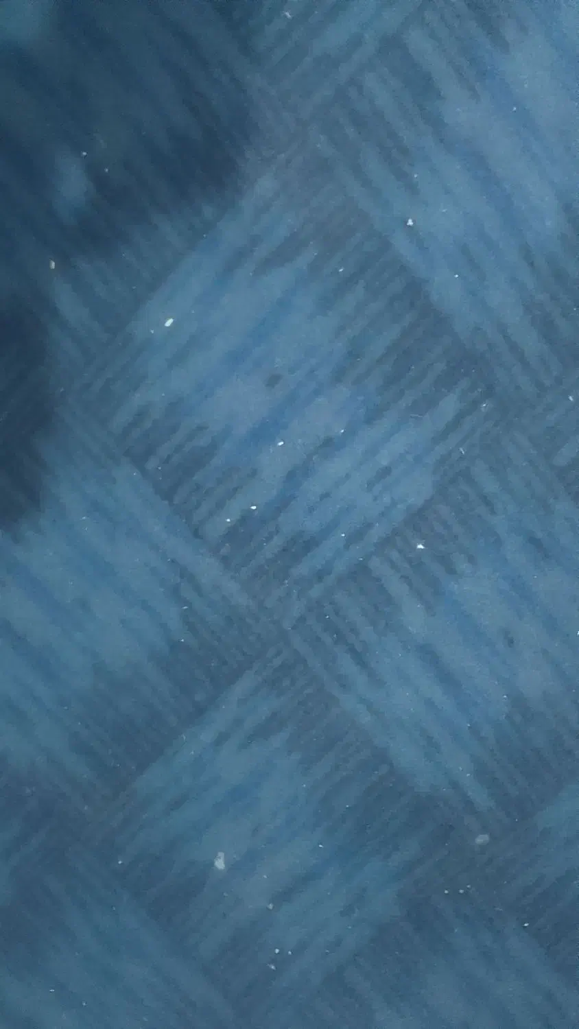 موکت|موکت|تربت جام, یحیی آباد|دیوار