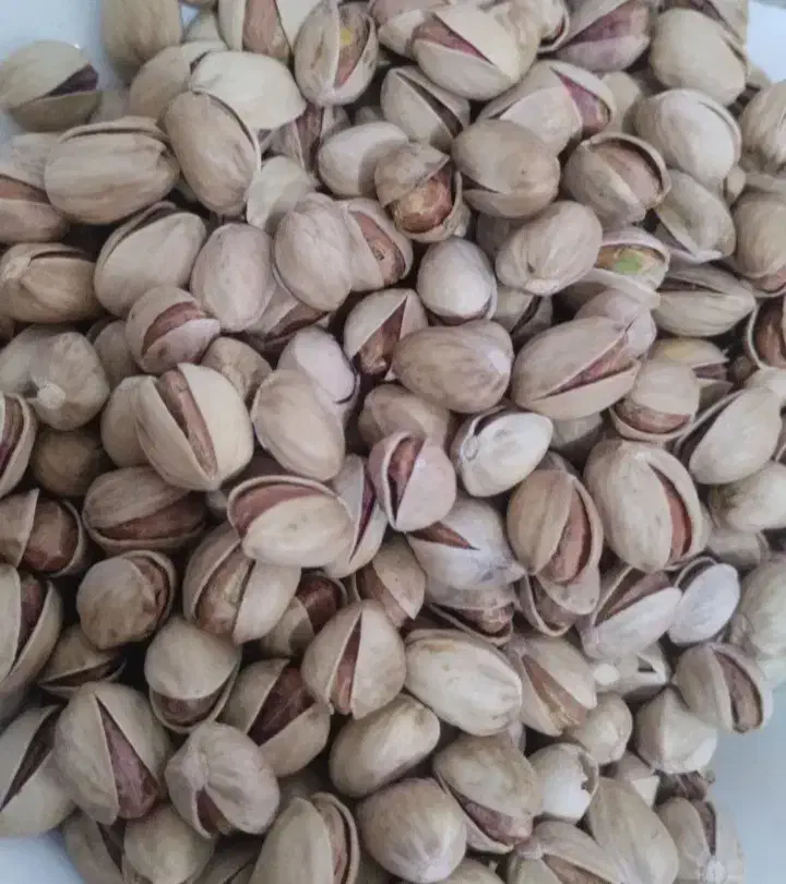 پسته خام فندقی وبادامی خندون امسالی|خوردنی و آشامیدنی|شاهینشهر, نبوت|دیوار