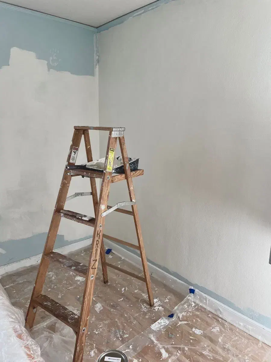 رنگ کاری و نقاشی ساختمان|خدمات پیشه و مهارت|قرچک, زیبا شهر|دیوار