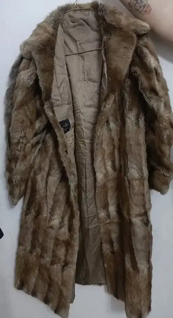 پالتو پوست طبیعی|لباس|سراب, |دیوار