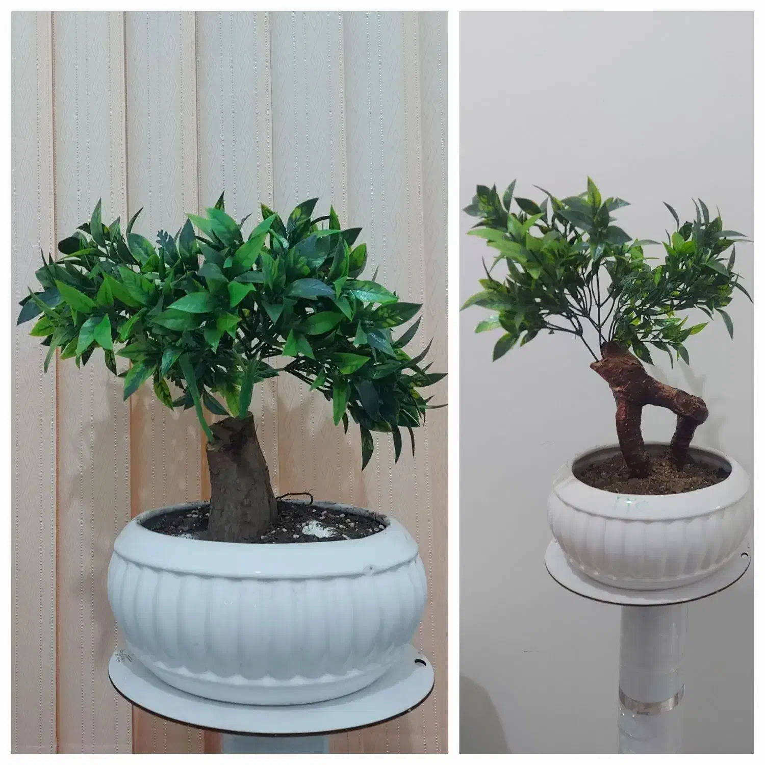 درختچه و گل مصنوعی|گل مصنوعی|فومن, |دیوار