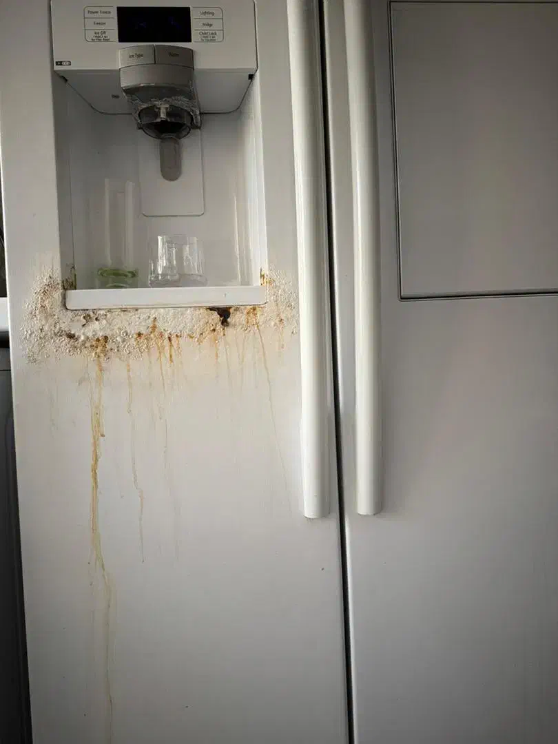 تعمیر پوسیدگی و تغییر رنگ|خدمات پیشه و مهارت|کهریزک, |دیوار