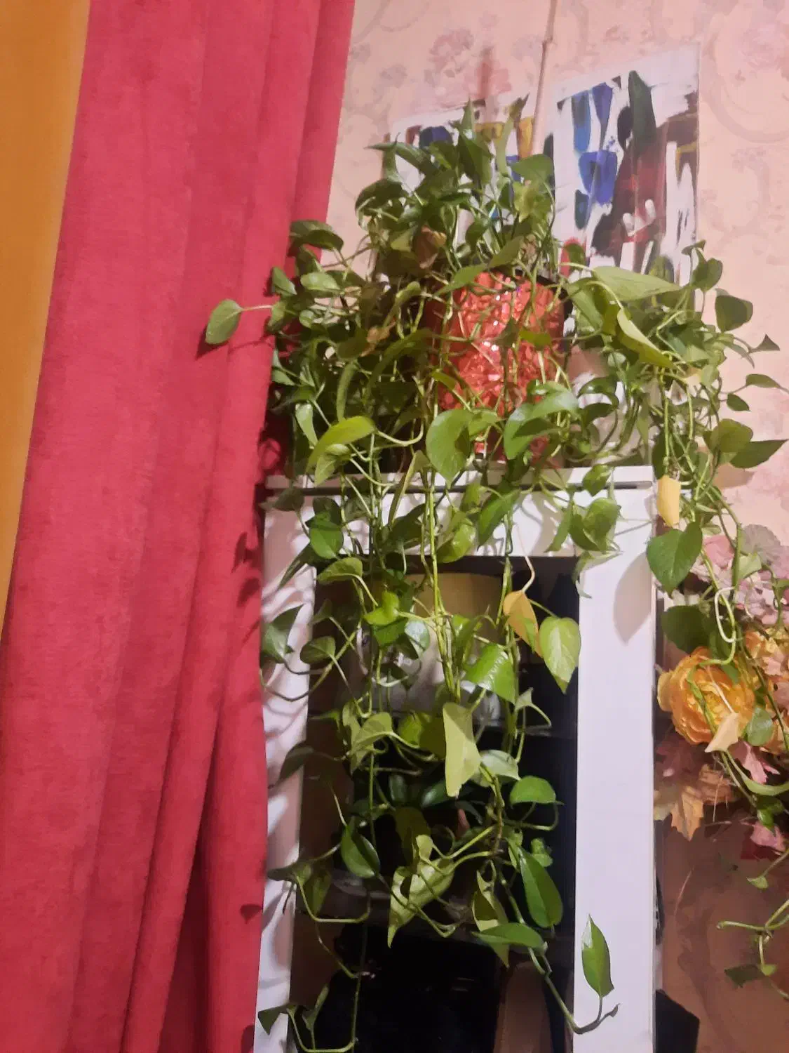 گل طبیعی  وگل مصنوعی|گل و گیاه طبیعی|مشهد, مهدی آباد (بلوار توس)|دیوار