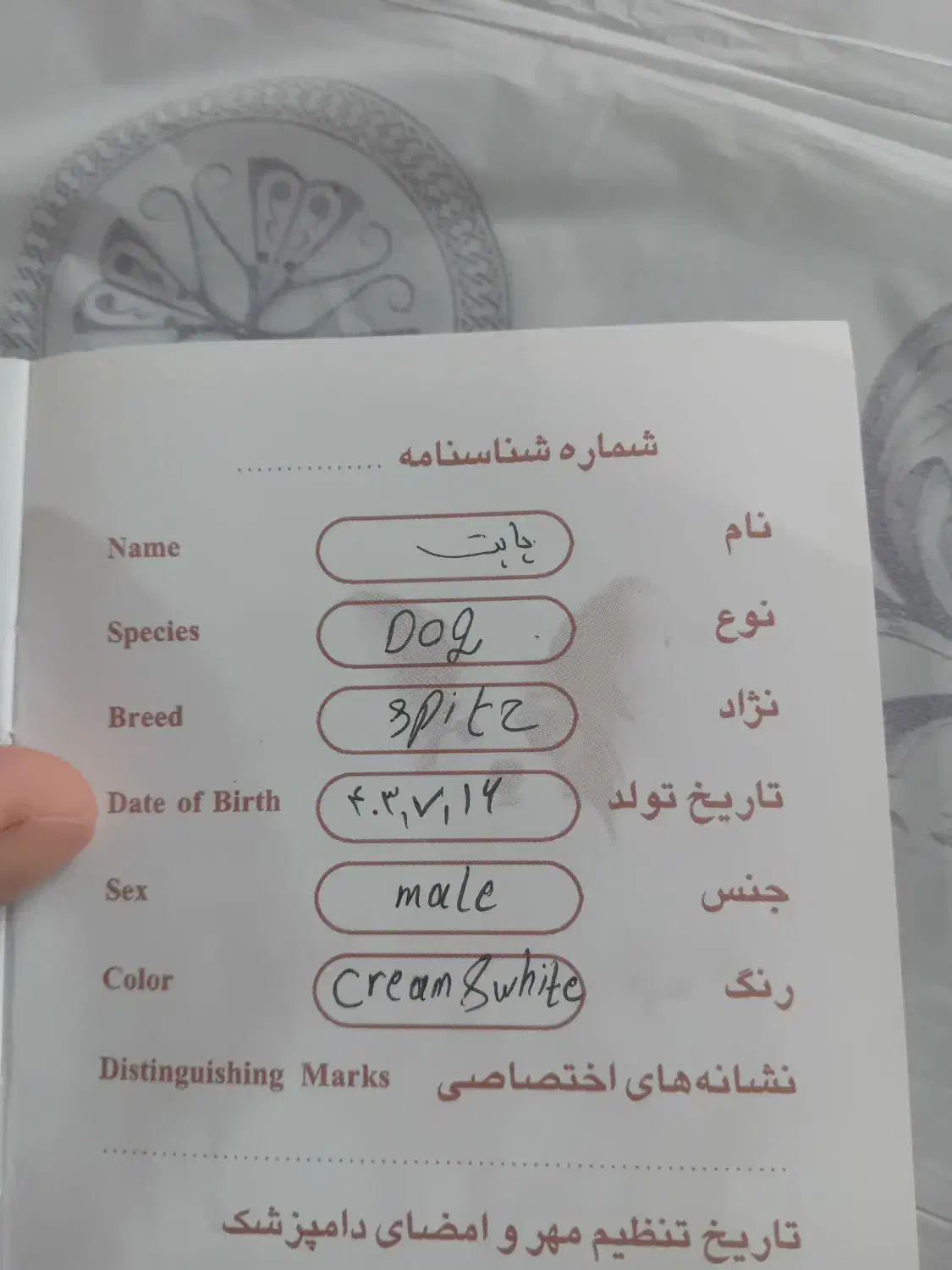 واگذاری سگ|سگ|اردبیل, |دیوار