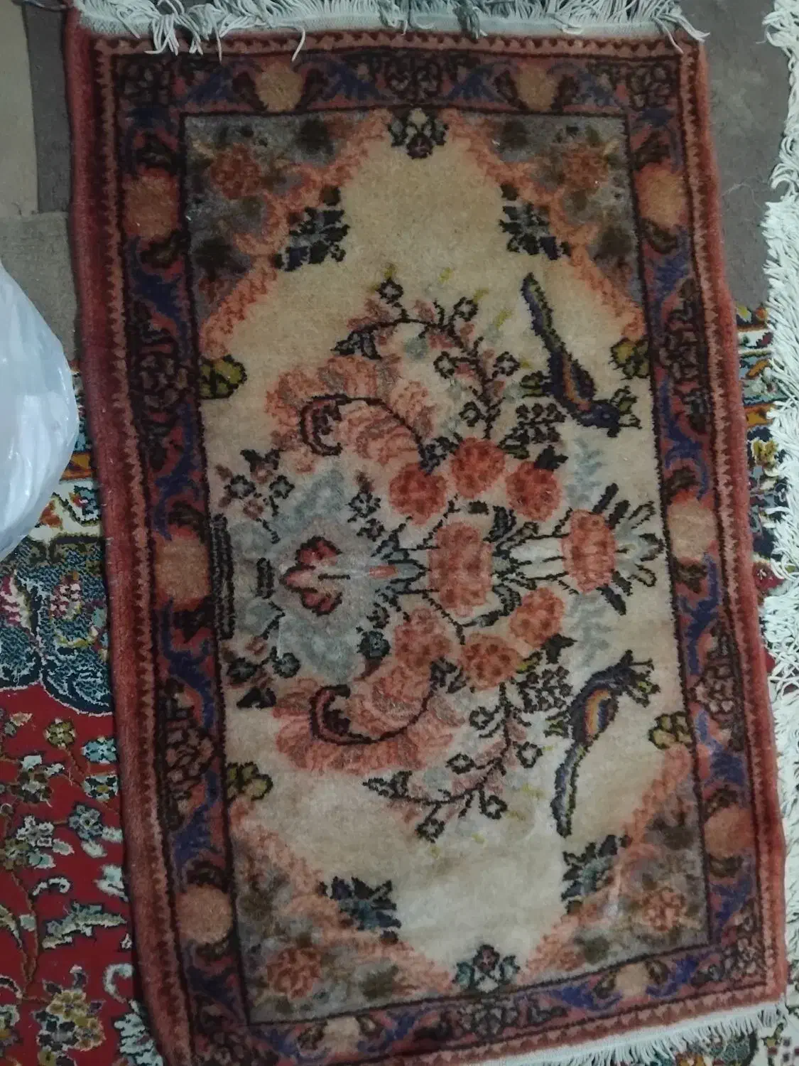 فرش دستبافت قدیمی|فرش|قزوین, |دیوار