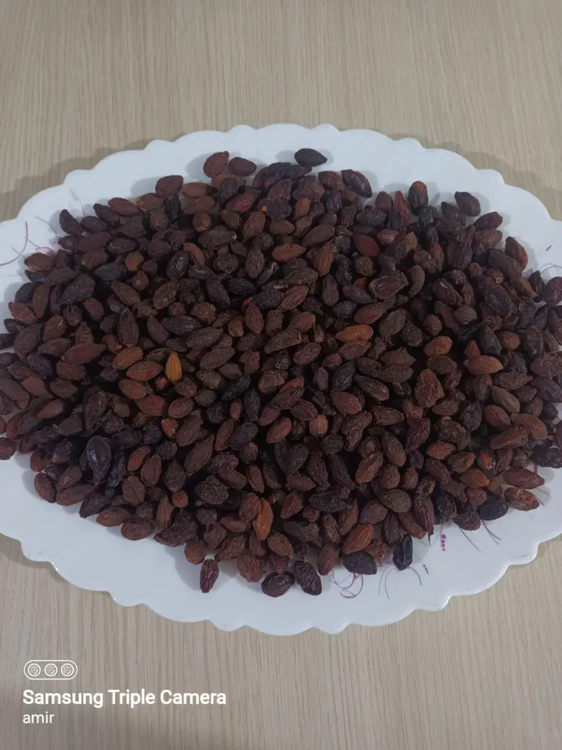 ذغال اخته خشک فروش فوری ۱۱۰|خوردنی و آشامیدنی|الوند, |دیوار