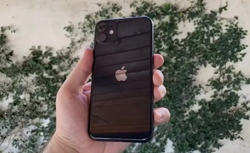 ایفون ۱۱|موبایل|کرمان, |دیوار